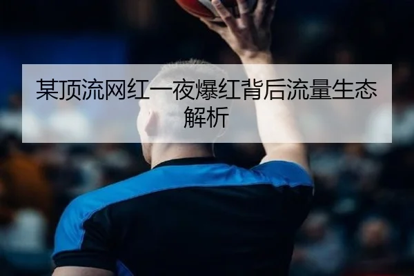 某顶流网红一夜爆红背后流量生态解析